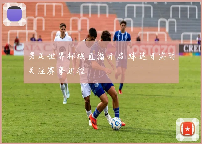 男足世界杯线直播开启 球迷可实时关注赛事进程